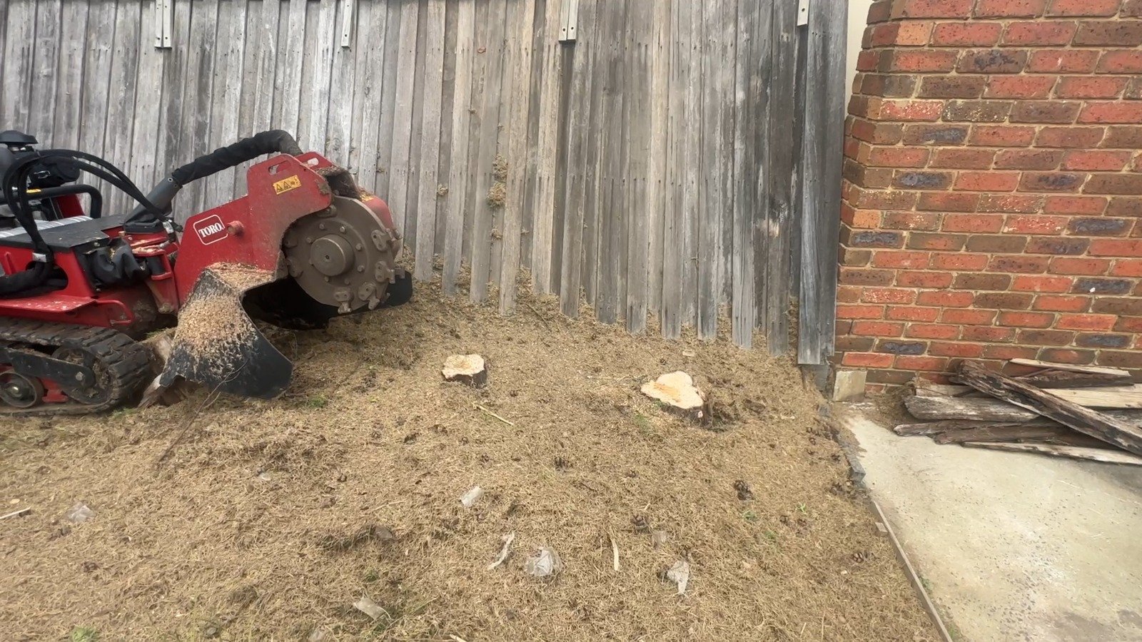 Trusted Tree Stump Removal Services in Melbourne