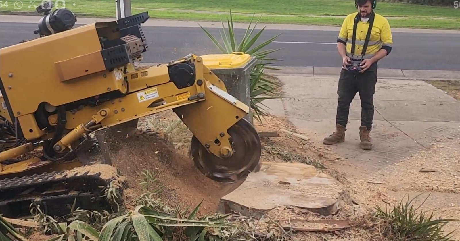 Stump grinding